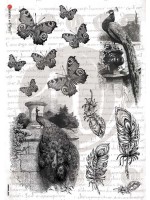 ΡΙΖΟΧΑΡΤΟ 32Χ45 ANIMALS-0033