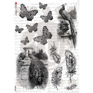 ΡΙΖΟΧΑΡΤΟ 32Χ45 ANIMALS-0033 ΡΙΖΟΧΑΡΤΟ 32Χ45 ANIMALS-0033