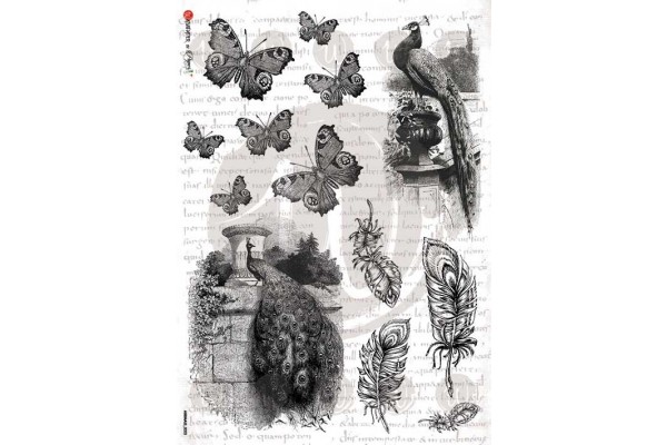 ΡΙΖΟΧΑΡΤΟ 32Χ45 ANIMALS-0033