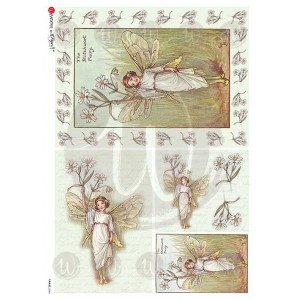 ΡΙΖΟΧΑΡΤΟ 32Χ45 FAIRIES-0046 ΡΙΖΟΧΑΡΤΟ 32Χ45 FAIRIES-0046