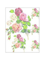 EASY TRANSFER 17X24 ARTEBELLA