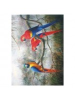 EASY TRANSFER 35X50 ARTEBELLA