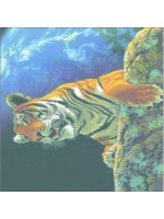 EASY TRANSFER 23X34 ARTEBELLA