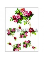 EASY TRANSFER 23X33 ARTEBELLA