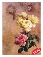 EASY TRANSFER 23X33 1428V ARTEBELLA