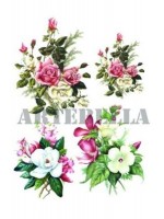 EASY TRANSFER 17Χ24 ARTEBELLA