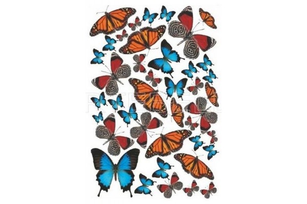 SOFT TRANSFER 23X34 943V ARTEBELLA