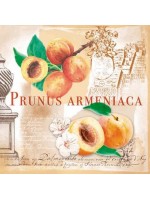 ΧΑΡΤΟΠΕΤΣΕΤΑ PRUNUS 33X33 - ΣΥΣΚΕΥΑΣΙΑ 20τμχ