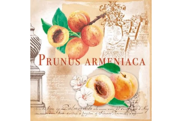 ΧΑΡΤΟΠΕΤΣΕΤΑ PRUNUS 33X33 - ΣΥΣΚΕΥΑΣΙΑ 20τμχ