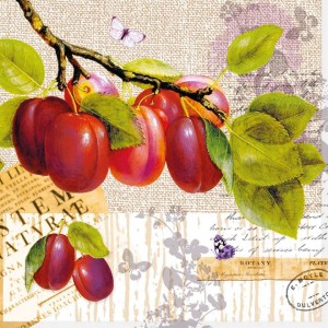 ΧΑΡΤΟΠΕΤΣΕΤΑ BOTANY PLUM 33X33 - ΣΥΣΚΕΥΑΣΙΑ 20τμχ ΧΑΡΤΟΠΕΤΣΕΤΑ BOTANY PLUM 33X33 - ΣΥΣΚΕΥΑΣΙΑ 20τμχ