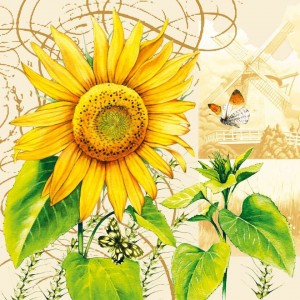 ΧΑΡΤΟΠΕΤΣΕΤΑ TOURNESOL 33X33 - ΣΥΣΚΕΥΑΣΙΑ 20τμχ ΧΑΡΤΟΠΕΤΣΕΤΑ TOURNESOL 33X33 - ΣΥΣΚΕΥΑΣΙΑ 20τμχ