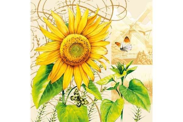 ΧΑΡΤΟΠΕΤΣΕΤΑ TOURNESOL 33X33 - ΣΥΣΚΕΥΑΣΙΑ 20τμχ