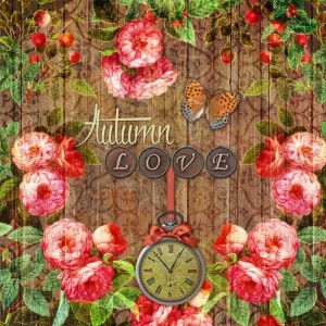 ΧΑΡΤΟΠΕΤΣΕΤΑ AUTUMN LOVE 33X33 - ΣΥΣΚΕΥΑΣΙΑ 20τμχ ΧΑΡΤΟΠΕΤΣΕΤΑ AUTUMN LOVE 33X33 - ΣΥΣΚΕΥΑΣΙΑ 20τμχ