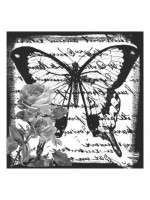 TRANSFER MIXART 5815V 25X25 ARTEBELLA