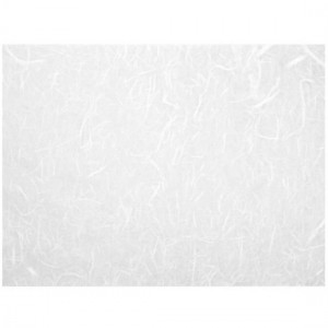 ΡΙΖΟΧΑΡΤΟ ΛΕΥΚΟ 25GR 47X64CM ΡΙΖΟΧΑΡΤΟ ΛΕΥΚΟ 25GR 47X64CM