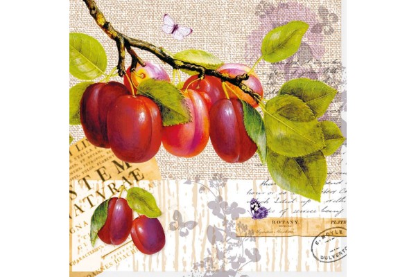 ΧΑΡΤΟΠΕΤΣΕΤΑ BOTANY PLUM 33X33 - ΣΥΣΚΕΥΑΣΙΑ 20τμχ