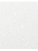 ΡΙΖΟΧΑΡΤΟ ΛΕΥΚΟ 25GR 47X64CM