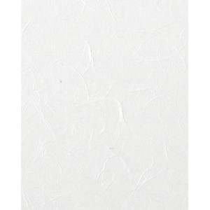 ΡΙΖΟΧΑΡΤΟ ΛΕΥΚΟ 25GR 47X64CM