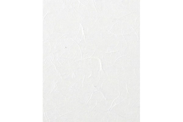 ΡΙΖΟΧΑΡΤΟ ΛΕΥΚΟ 25GR 47X64CM