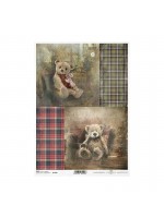 ΡΙΖΟΧΑΡΤΟ 210 Χ 297 Α4