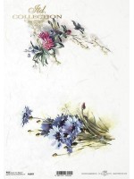 ΡΙΖΟΧΑΡΤΟ 210 Χ 297 Α4