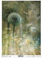 ΡΙΖΟΧΑΡΤΟ Α4 R2075