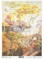 ΡΙΖΟΧΑΡΤΟ Α4 R2079