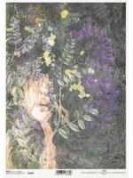 ΡΙΖΟΧΑΡΤΟ Α4 R2080