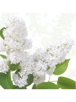 ΧΑΡΤΟΠΕΤΣΕΤΑ - ΣΥΣΚΕΥΑΣΙΑ 20τμχ