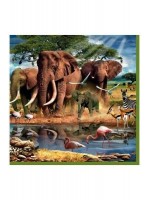 ΧΑΡΤΟΠΕΤΣΕΤΑ - ΣΥΣΚΕΥΑΣΙΑ 20τμχ