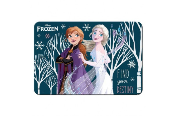 ΣΟΥΠΛΑ 43X29ΕΚ FROZEN 2