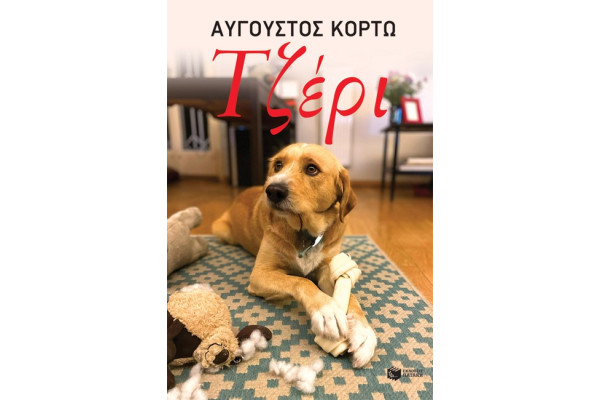 ΤΖΕΡΙ