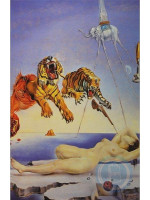 ΠΑΖΛ 1000 ΤΕΜ DALI