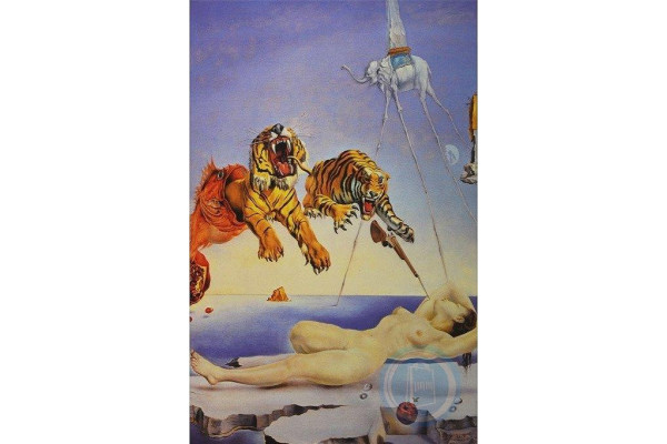 ΠΑΖΛ 1000 ΤΕΜ DALI