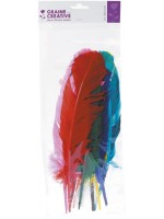 ΦΤΕΡΑ ΙΝΔΙΑΝΟΥ ΔΙΑΦΟΡΑ ΧΡΩΜΑΤΑ 34 CM