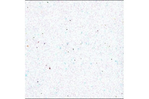 ΑΦΡΩΔΕΣ ΦΥΛΛΟ Α4 210x297 ΛΕΥΚΑ GLITTER 2,0 mm