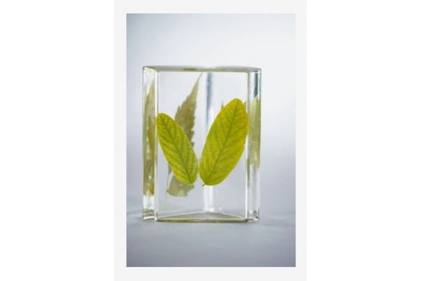 ΡΗΤΙΝΗ ΥΓΡΟ ΓΥΑΛΙ 50% bio 750ml GEDEO PEBEO BIO