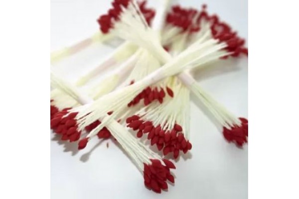 ΣΤΗΜΟΝΕΣ ΛΟΥΛΟΥΔΙΩΝ ΚΟΚΚΙΝΟ