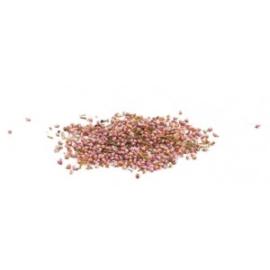 ΑΠΟΞΗΡΑΜΕΝΑ ΑΝΘΑΚΙΑ  15GR