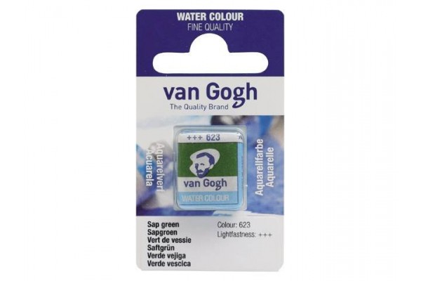 ΠΑΣΤΙΛΙΕΣ VAN COGH 623 S1 Sap Green