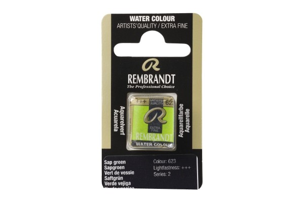ΠΑΣΤΙΛΙΕΣ ΑΚΟΥΑΡΕΛΑΣ REMBRANDT S2 623 Sap Green