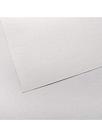 ΧΑΡΤΟΝΙΑ CANSON INGRES  50X65 100gr WHITE