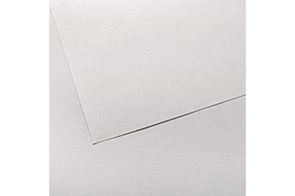 ΧΑΡΤΟΝΙΑ CANSON INGRES  50X65 100gr WHITE