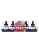 ΣΕΤ ΥΓΡΟ ΑΚΟΥΑΡΕΛΑΣ ECOLINE ROYAL TALENS 5x30ml Additional