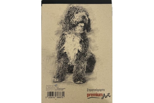ΜΠΛΟΚ ΣΤΡΑΤΣΟΧΑΡΤΟ Α4 50Φ ΚΡΑΦΤ 90GSM PREMIUM ART