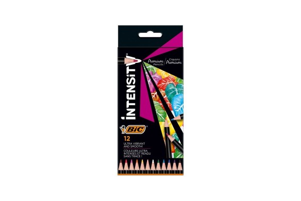 ΣΕΤ ΞΥΛΟΜΠΟΓΙΕΣ INTENSITY BIC 12 ΧΡΩΜΑΤΑ