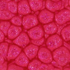 ΣΜΑΛΤΟ (ENAMEL) FANTASY PRISME English Red 45ml PEBEO