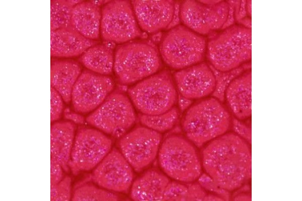 ΣΜΑΛΤΟ (ENAMEL) FANTASY PRISME English Red 45ml PEBEO
