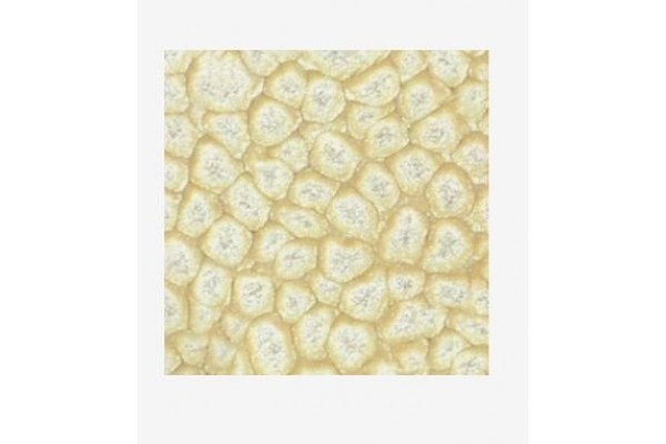 ΣΜΑΛΤΟ (ENAMEL) FANTASY PRISME Eggshell White 45ml PEBEO