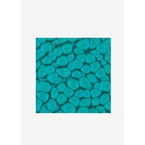 ΣΜΑΛΤΟ (ENAMEL) FANTASY PRISME Turquoise 45ml PEBEO